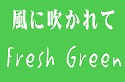 花屋　静岡　花　花や　花束　送料無料　フラワーアレンジメント　母の日　プレゼント　ギフト　鉢花　観葉植物　胡蝶蘭　コチョウラン