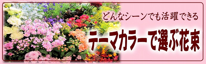花屋　静岡　花　花や　花束　送料無料　フラワーアレンジメント　母の日　プレゼント　ギフト　鉢花　観葉植物　胡蝶蘭　コチョウラン