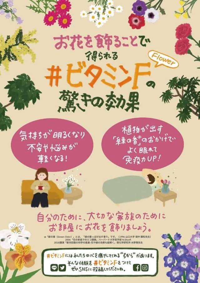 ビタミンF