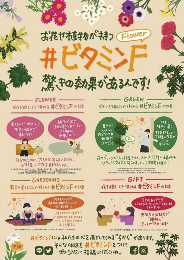 ビタミンF