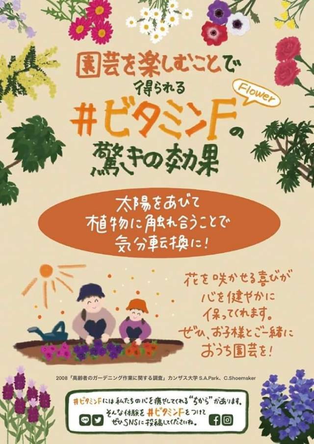 ビタミンF