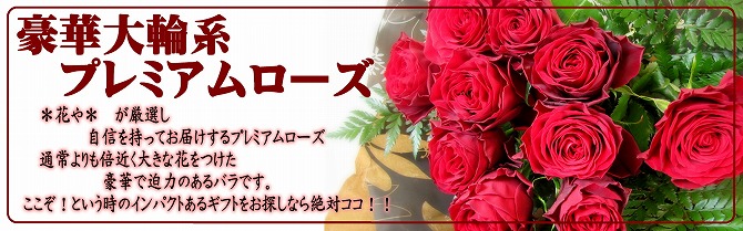 花屋　静岡　花　花や　花束　送料無料　フラワーアレンジメント　母の日　プレゼント　ギフト　鉢花　観葉植物　胡蝶蘭　コチョウラン
