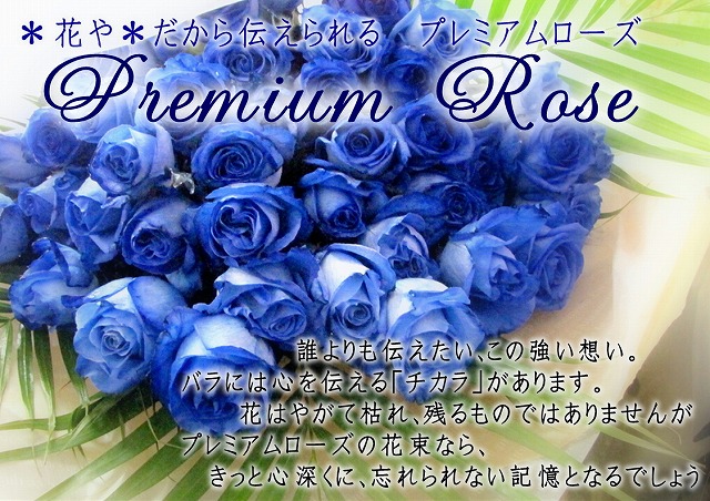 花屋　静岡　花　花や　花束　送料無料　フラワーアレンジメント　母の日　プレゼント　ギフト　鉢花　観葉植物　胡蝶蘭　コチョウラン