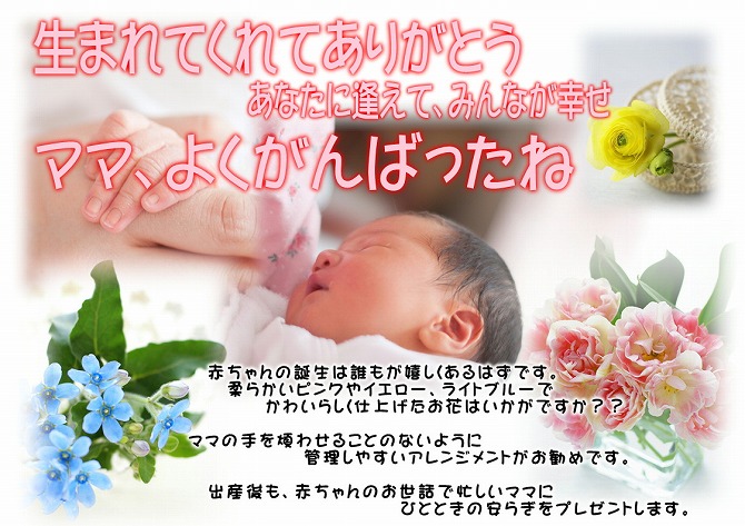 花屋　静岡　花　花や　花束　送料無料　フラワーアレンジメント　母の日　プレゼント　ギフト　鉢花　観葉植物　胡蝶蘭　コチョウラン