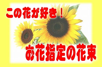 花屋　静岡　花　花や　花束　送料無料　フラワーアレンジメント　母の日　プレゼント　ギフト　鉢花　観葉植物　胡蝶蘭　コチョウラン