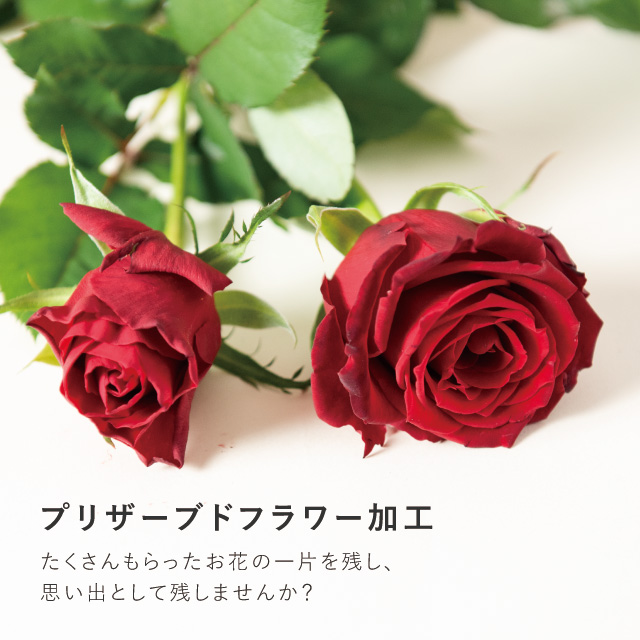 プリザーブドフラワー加工