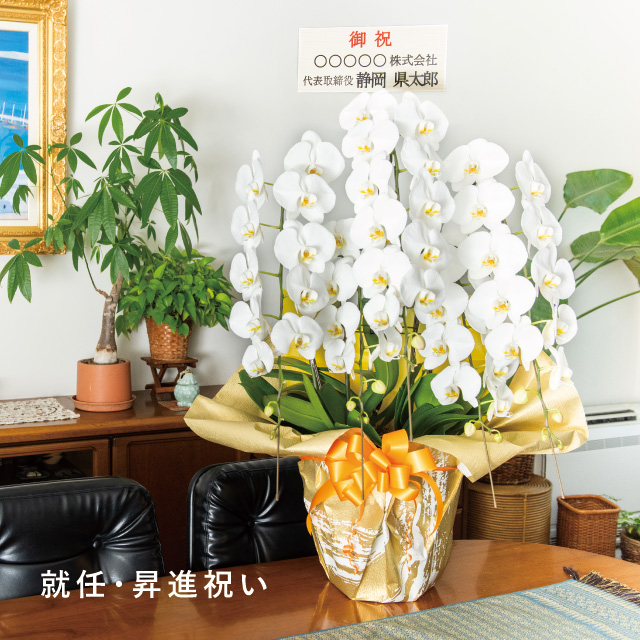 昇進